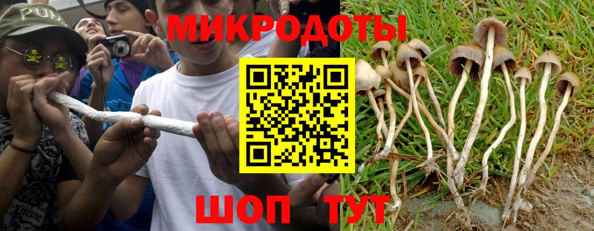 Галлюциногенные грибы GOLDEN TEACHER Красноперекопск