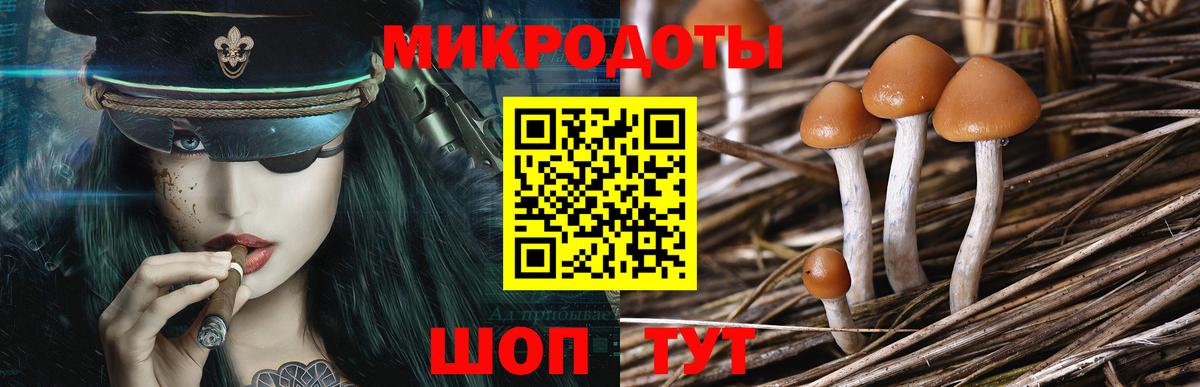 Псилоцибиновые грибы мицелий  Вход с VPN  Красноперекопск 